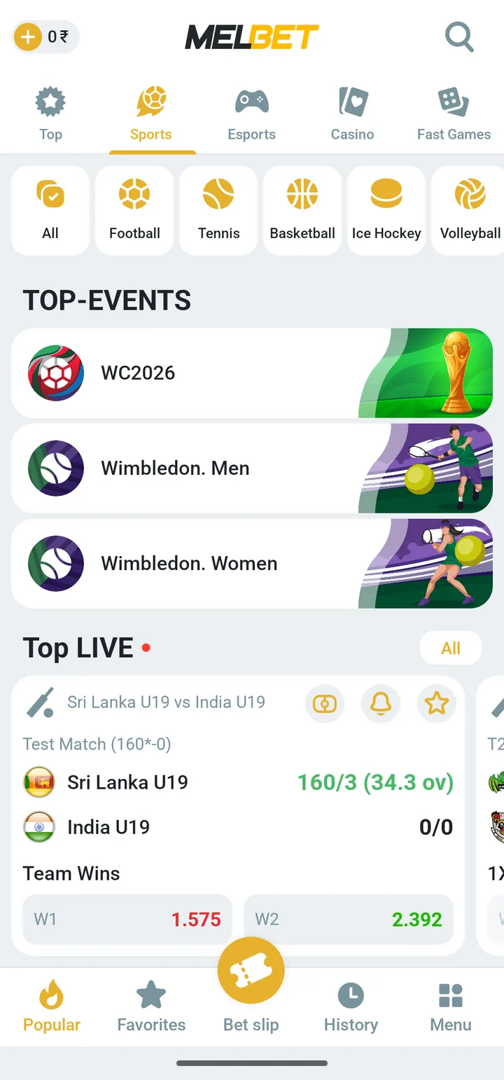 Live cricket match with betting odds in the Melbet app India